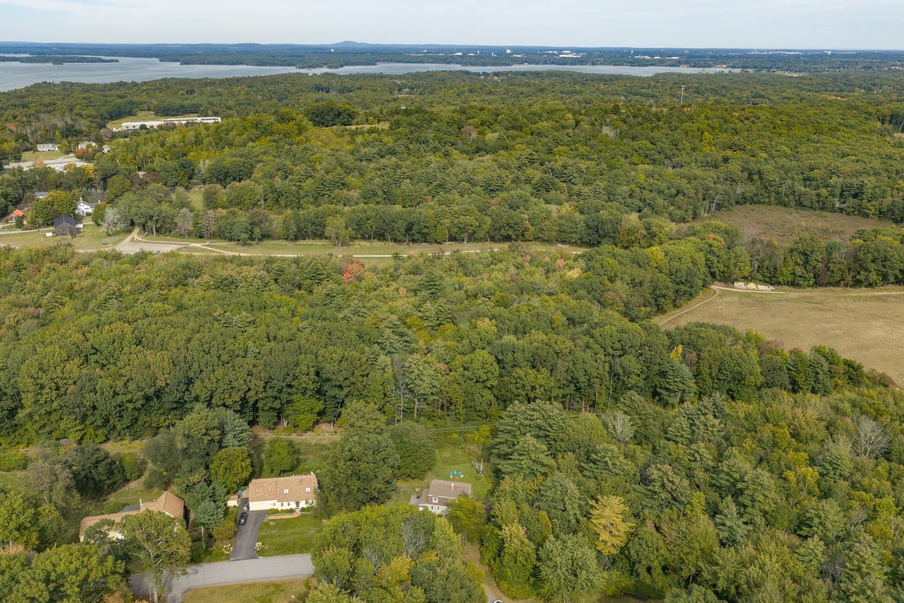 The woods rolling away from the house to the fields, the coast, and the horizon, from the air